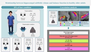 Relationship between hippocampal subfields volume and balance function in healthy older adultspage-visual Relationship between hippocampal subfields volume and balance function in healthy older adultsビジュアル